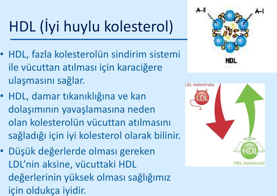 HDL, damar tıkanıklığına ve kan dolaşımının yavaşlamasına neden olan kolesterolün vücuttan