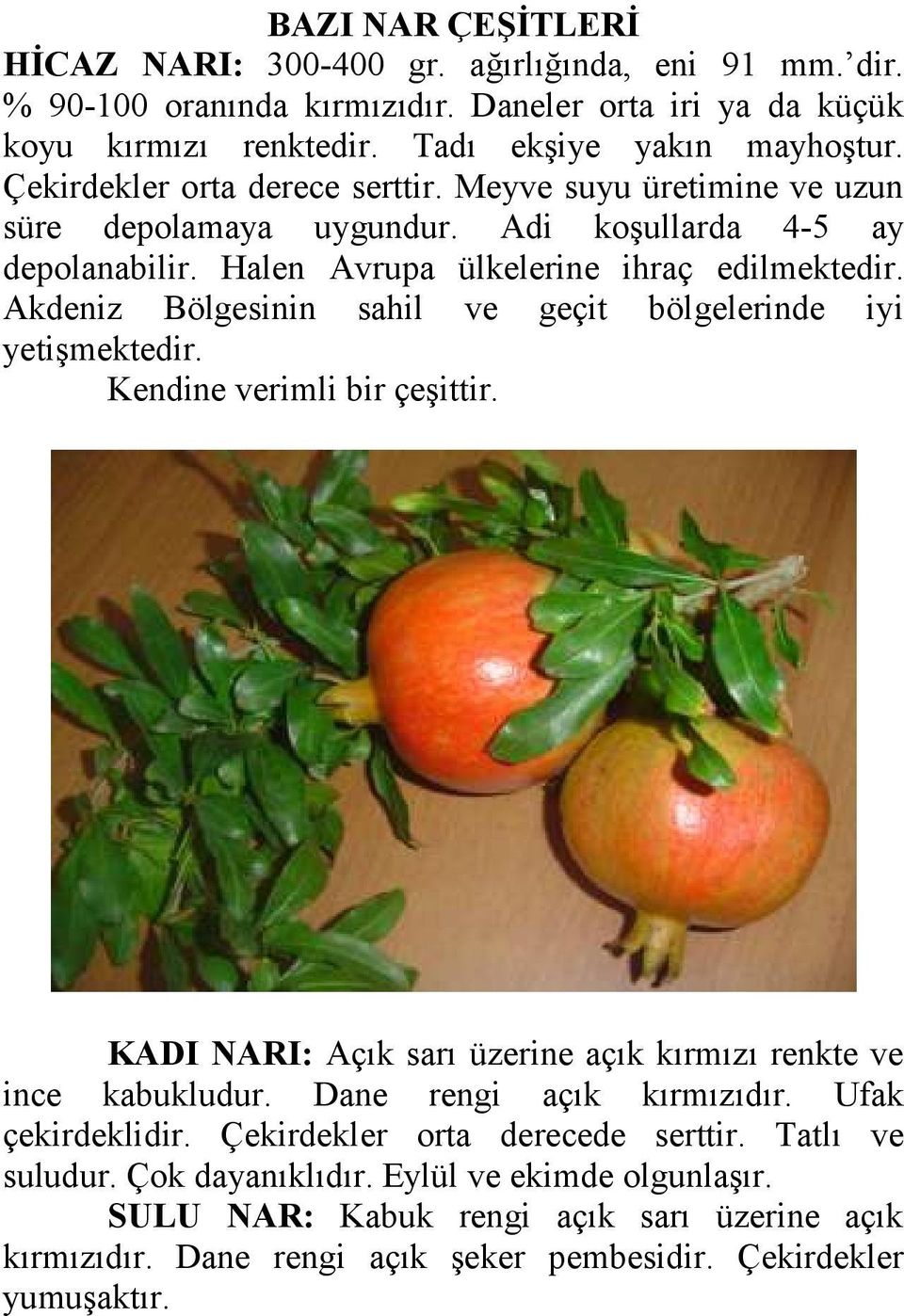 Akdeniz Bölgesinin sahil ve geçit bölgelerinde iyi yetişmektedir. Kendine verimli bir çeşittir. KADI NARI: Açık sarı üzerine açık kırmızı renkte ve ince kabukludur. Dane rengi açık kırmızıdır.