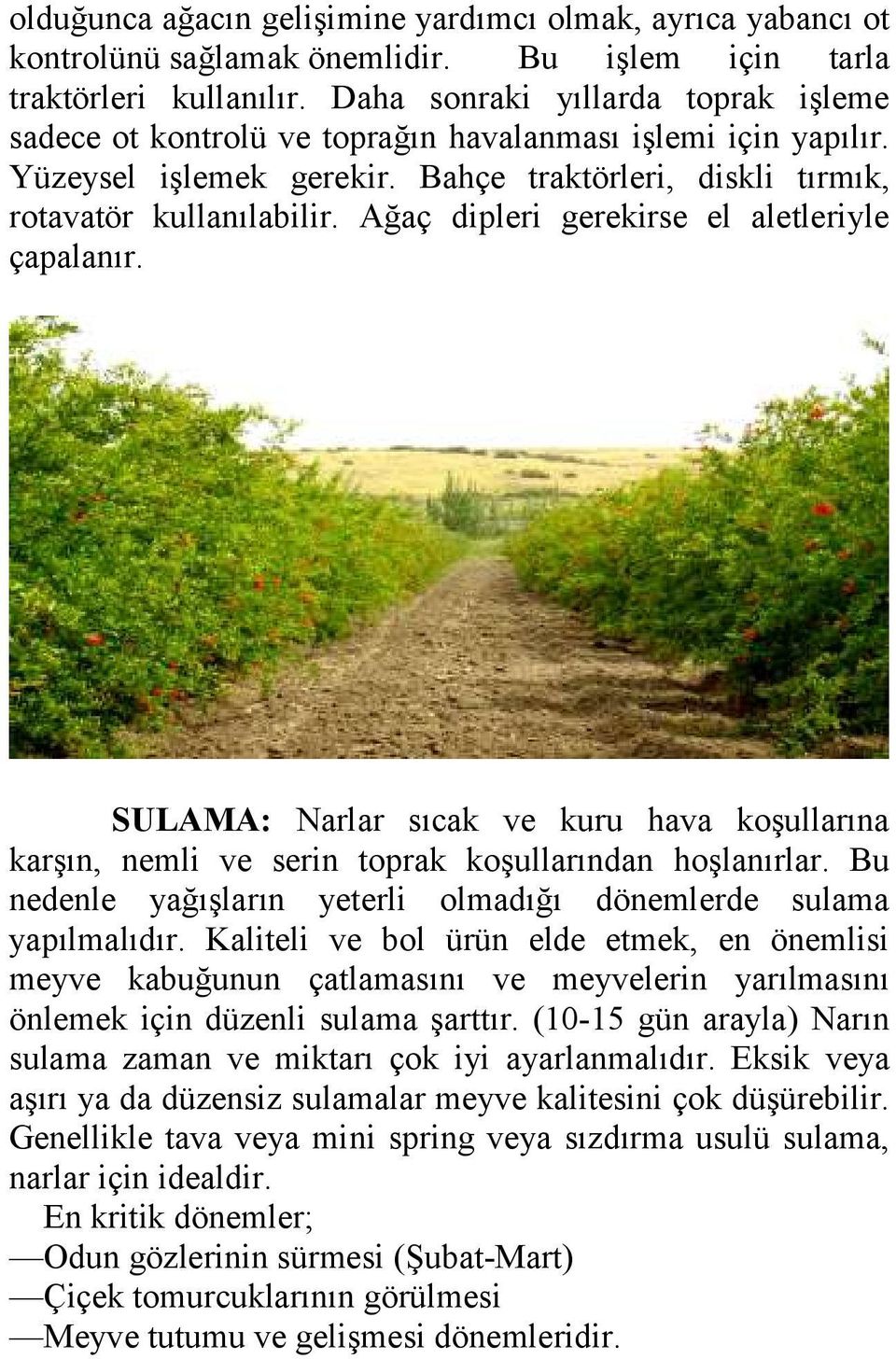 Ağaç dipleri gerekirse el aletleriyle çapalanır. SULAMA: Narlar sıcak ve kuru hava koşullarına karşın, nemli ve serin toprak koşullarından hoşlanırlar.