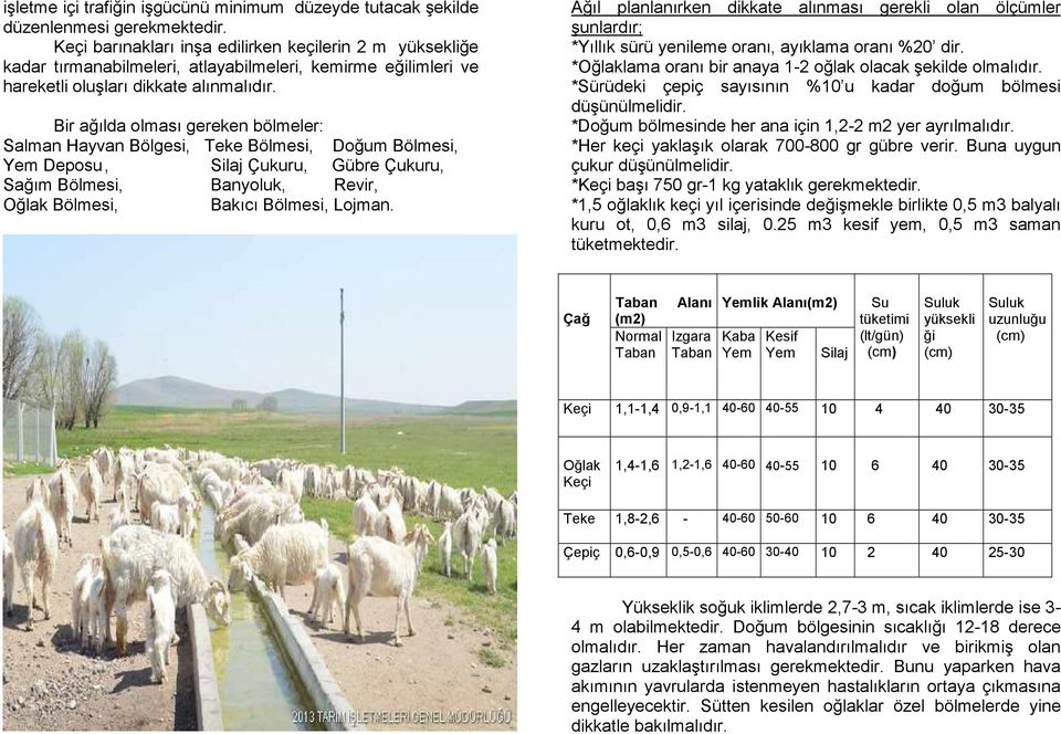 Bir ağılda olması gereken bölmeler: Salman Hayvan Bölgesi, Teke Bölmesi, Doğum Bölmesi, Yem Deposu, Silaj Çukuru, Gübre Çukuru, Sağım Bölmesi, Banyoluk, Revir, Oğlak Bölmesi, Bakıcı Bölmesi, Lojman.