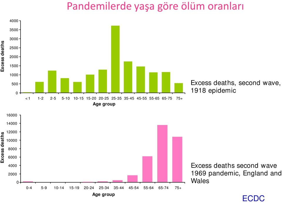 14000 Excess deaths 12000 10000 8000 6000 4000 2000 0 0-4 5-9 10-14 15-19 20-24 25-34 35-44 45-54 55-64 65-74