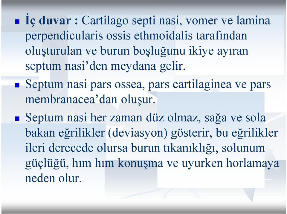 Septum nasi pars ossea, pars cartilaginea ve pars membranacea dan oluşur.