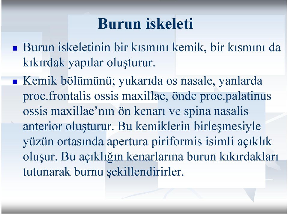 palatinus ossis maxillae nın ön kenarı ve spina nasalis anterior oluşturur.