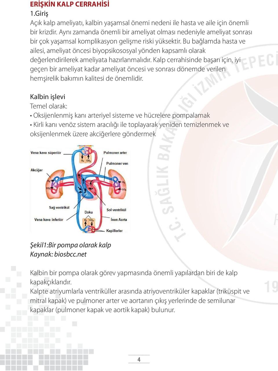 Bu bağlamda hasta ve ailesi, ameliyat öncesi biyopsikososyal yönden kapsamlı olarak değerlendirilerek ameliyata hazırlanmalıdır.