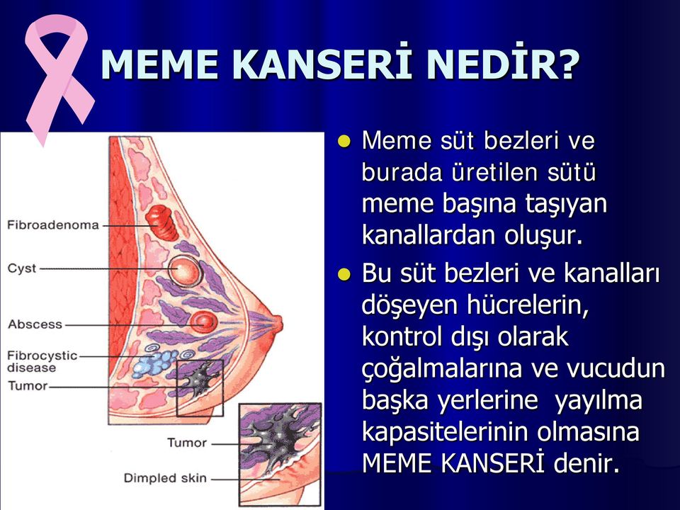 kanallardan oluşur.