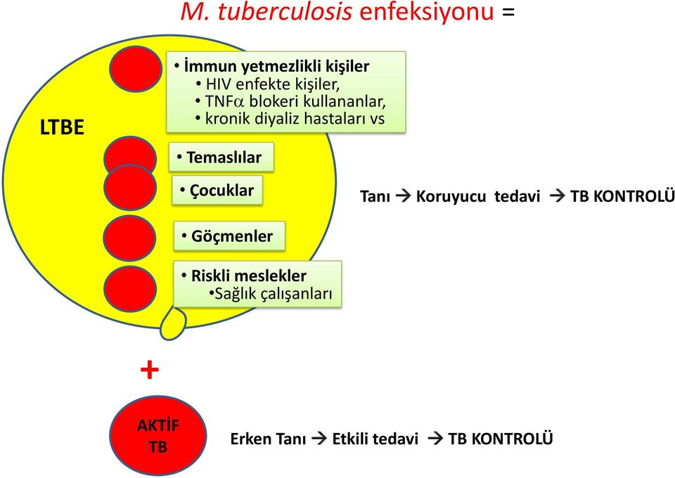 Temaslılar Çocuklar Tanı Koruyucu tedavi TB KONTROLÜ Göçmenler Riskli