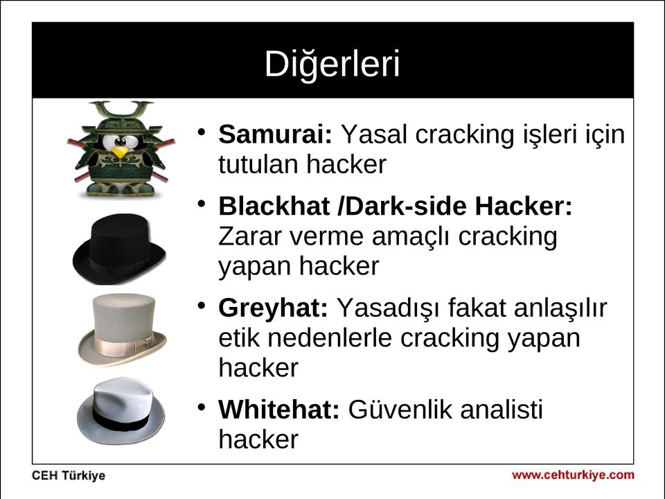 cracking yapan hacker Greyhat: Yasadışı fakat anlaşılır