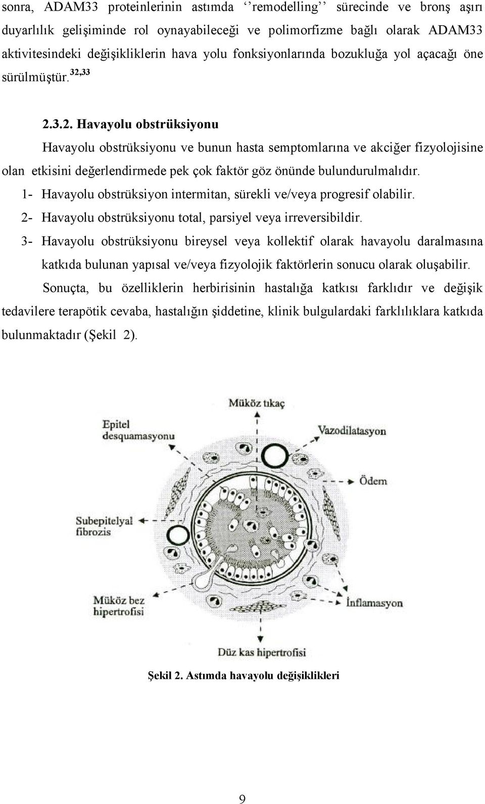 33 2.3.2. Havayolu obstrüksiyonu Havayolu obstrüksiyonu ve bunun hasta semptomlarına ve akciğer fizyolojisine olan etkisini değerlendirmede pek çok faktör göz önünde bulundurulmalıdır.