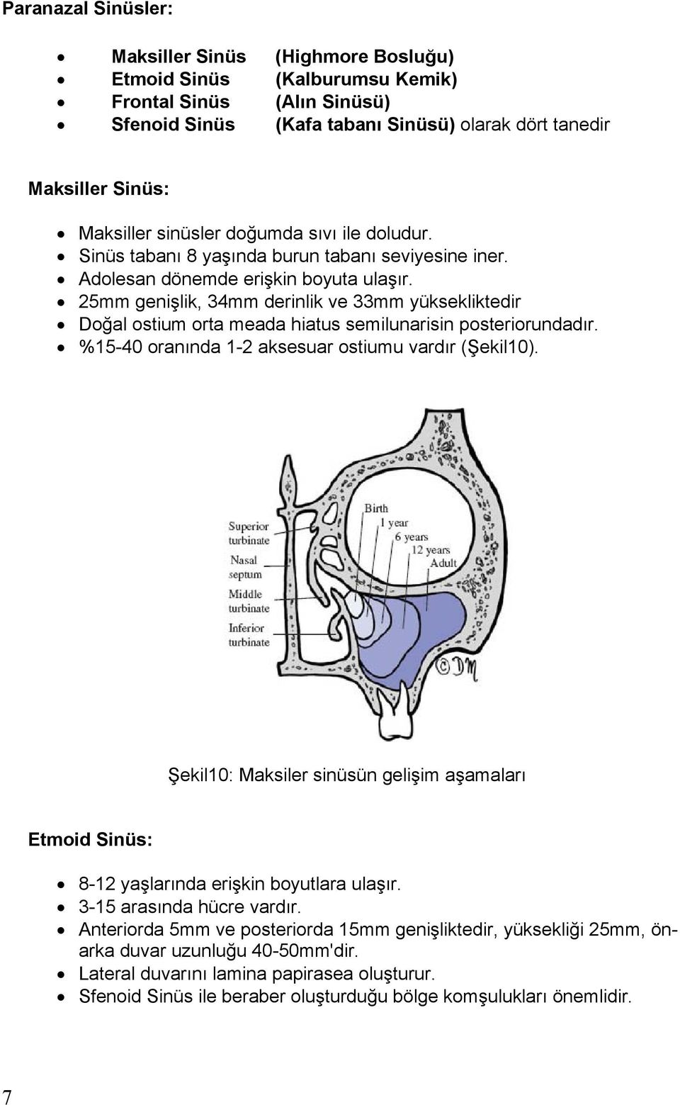 25mm geni lik, 34mm derinlik ve 33mm yüksekliktedir Do al ostium orta meada hiatus semilunarisin posteriorundad r. %15-40 oran nda 1-2 aksesuar ostiumu vard r ( ekil10).