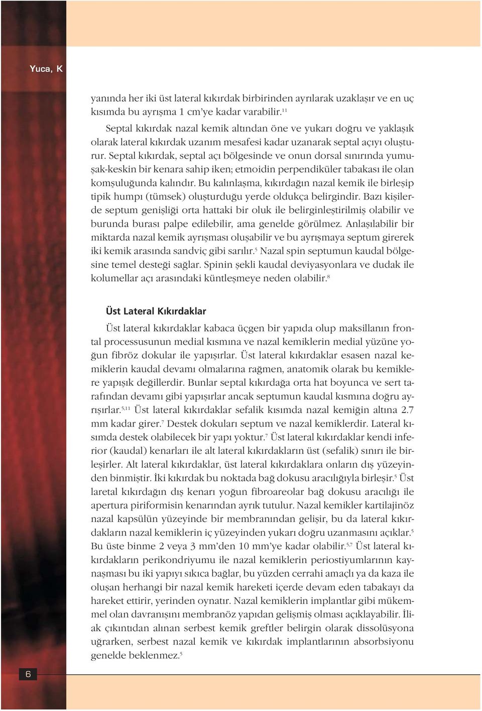 Septal k k rdak, septal aç bölgesinde ve onun dorsal s n r nda yumuflak-keskin bir kenara sahip iken; etmoidin perpendiküler tabakas ile olan komflulu unda kal nd r.