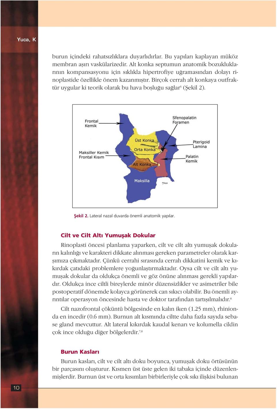 Birçok cerrah alt konkaya outfraktür uygular ki teorik olarak bu hava bofllu u sa lar 5 (fiekil 2). fiekil 2. Lateral nazal duvarda önemli anatomik yap lar.