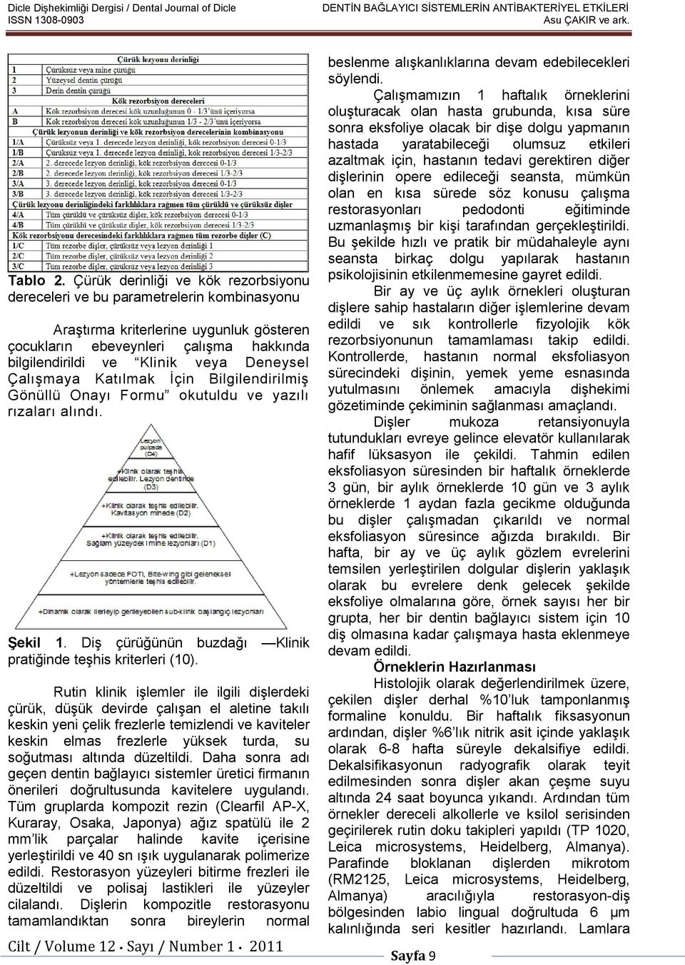 Deneysel Çalışmaya Katılmak İçin Bilgilendirilmiş Gönüllü Onayı Formu okutuldu ve yazılı rızaları alındı. Şekil 1. Diş çürüğünün buzdağı Klinik pratiğinde teşhis kriterleri (10).