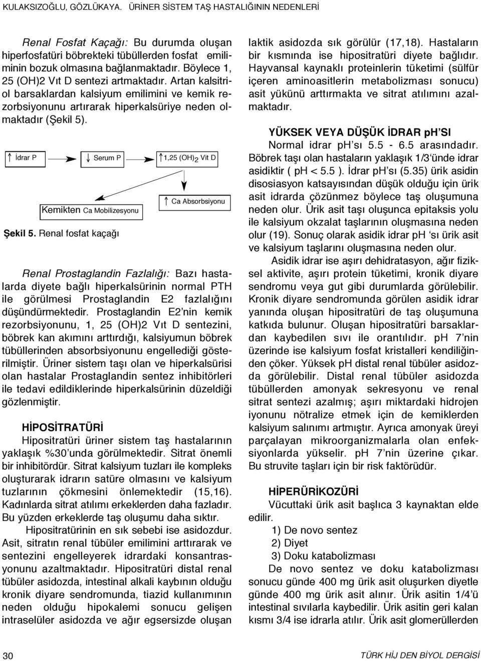 Renal fosfat kaçağı 1,25 (OH) 2 Vit D Ca Absorbsiyonu Renal Prostaglandin Fazlalığı: Bazı hastalarda diyete bağlı hiperkalsürinin normal PTH ile görülmesi Prostaglandin E2 fazlalığını