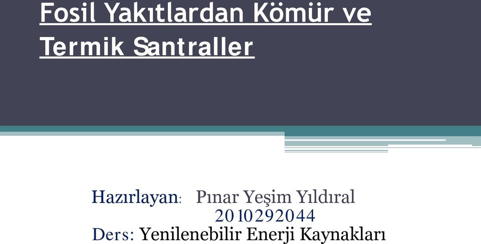 Pınar Yeşim Yıldıral 2010292044