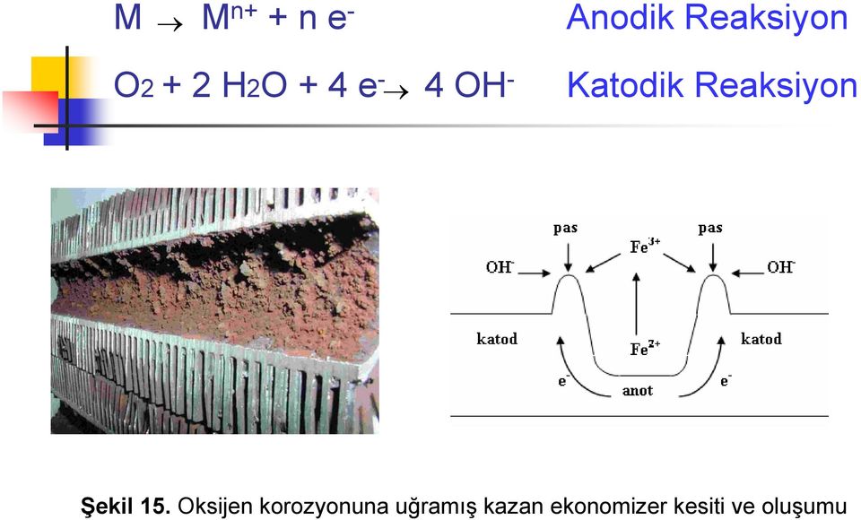 Reaksiyon Şekil 15.