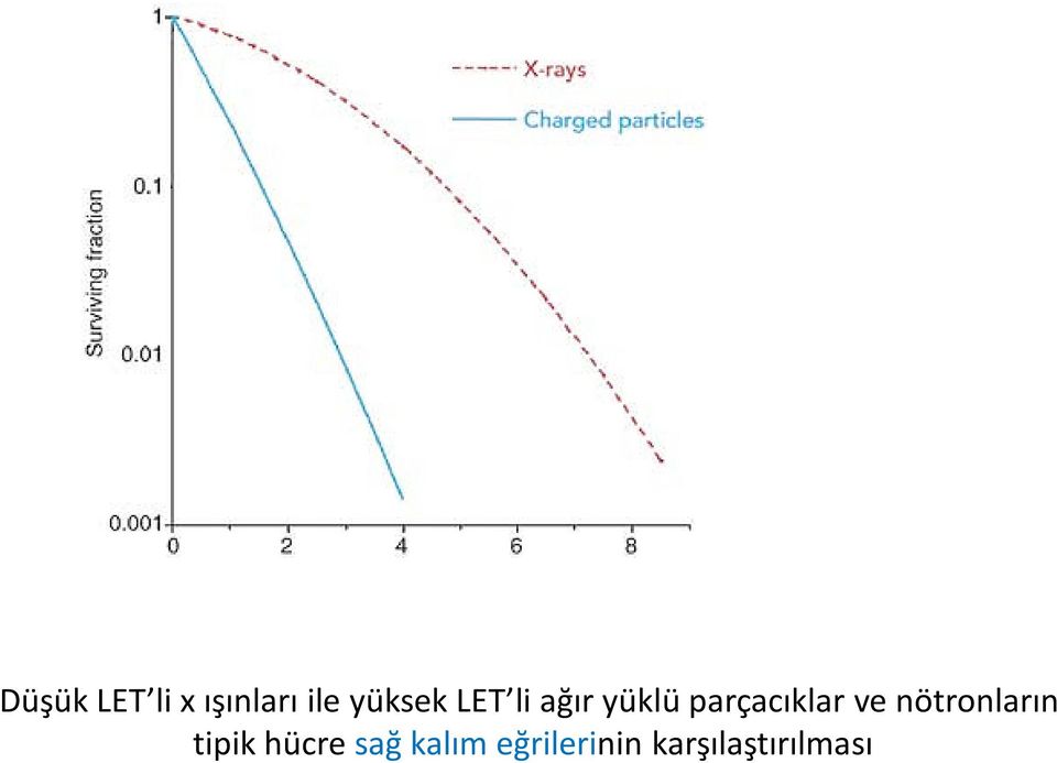 parçacıklar ve nötronların tipik