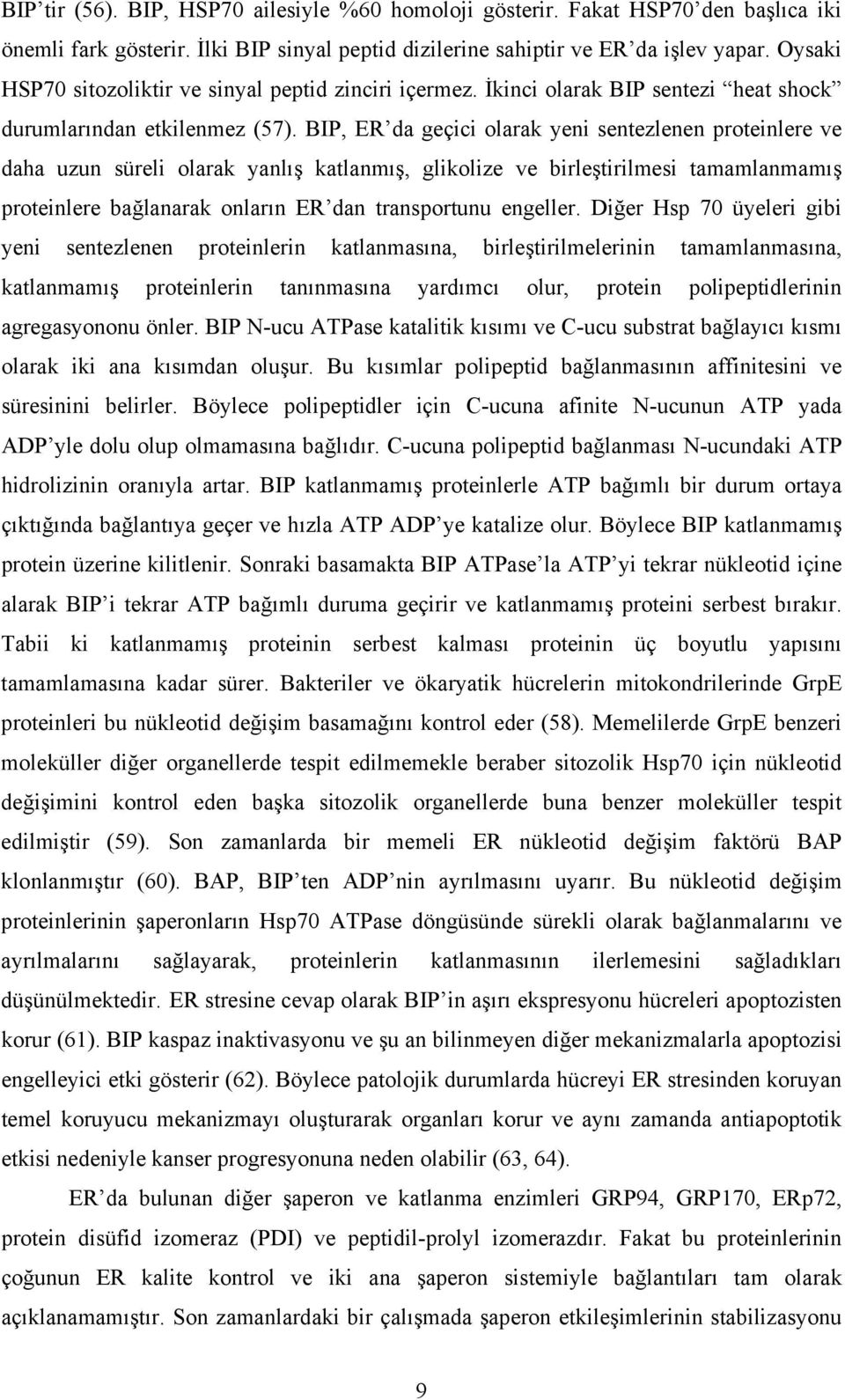 BIP, ER da geçici olarak yeni sentezlenen proteinlere ve daha uzun süreli olarak yanlış katlanmış, glikolize ve birleştirilmesi tamamlanmamış proteinlere bağlanarak onların ER dan transportunu