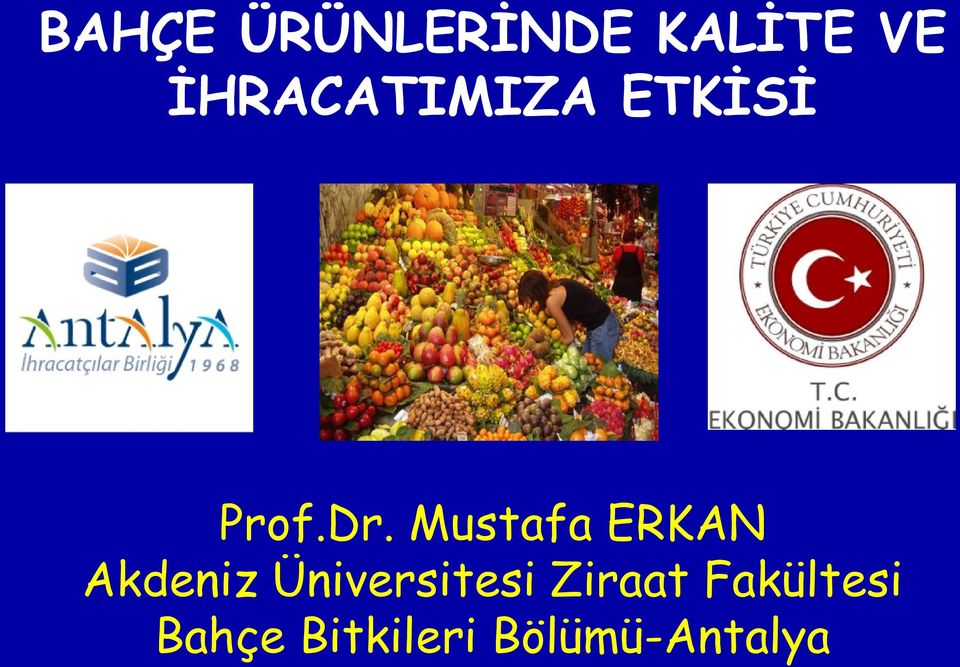 Mustafa ERKAN Akdeniz Üniversitesi