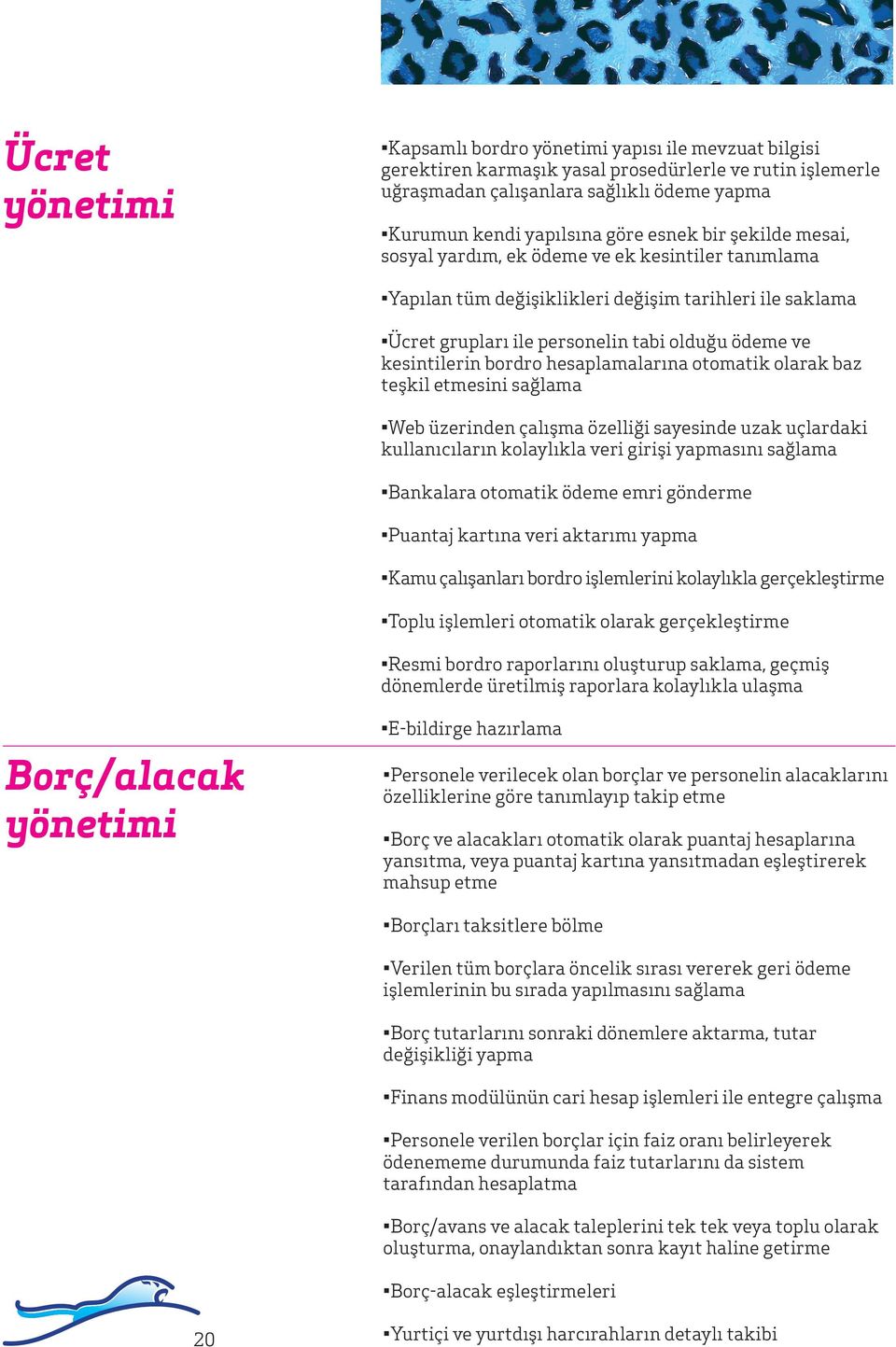 bordro hesaplamalarına otomatik olarak baz teşkil etmesini sağlama Web üzerinden çalışma özelliği sayesinde uzak uçlardaki kullanıcıların kolaylıkla veri girişi yapmasını sağlama Bankalara otomatik