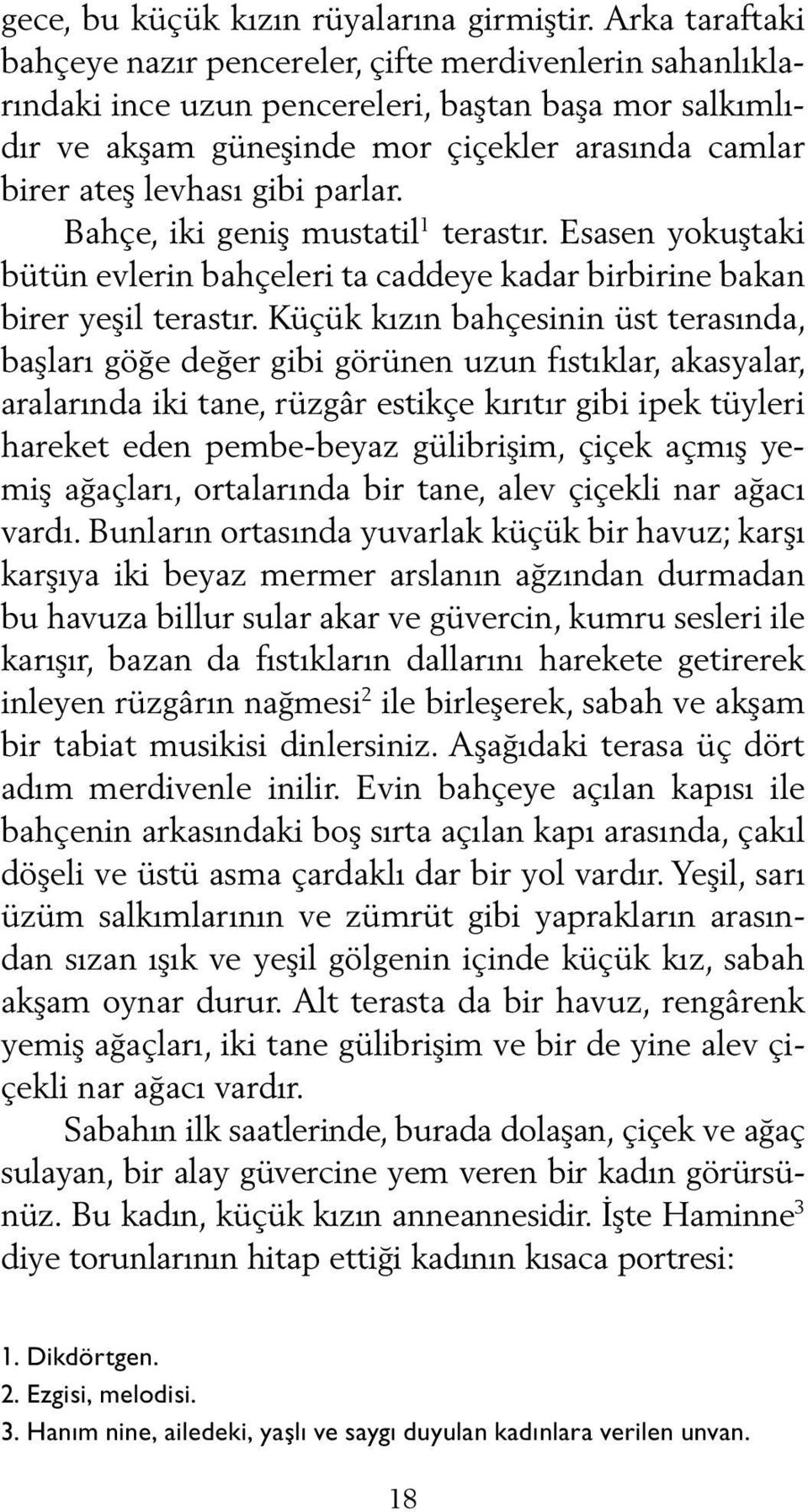 gibi parlar. Bahçe, iki geniş mustatil 1 terastır. Esasen yokuştaki bütün evlerin bahçeleri ta caddeye kadar birbirine bakan birer yeşil terastır.