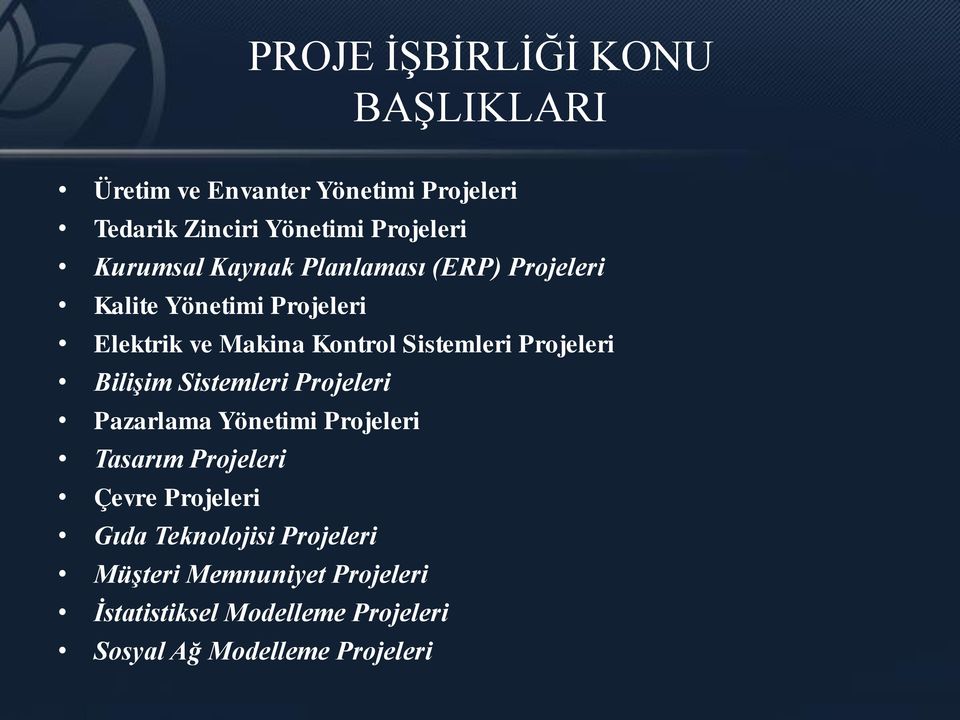 Projeleri Bilişim Sistemleri Projeleri Pazarlama Yönetimi Projeleri Tasarım Projeleri Çevre Projeleri Gıda