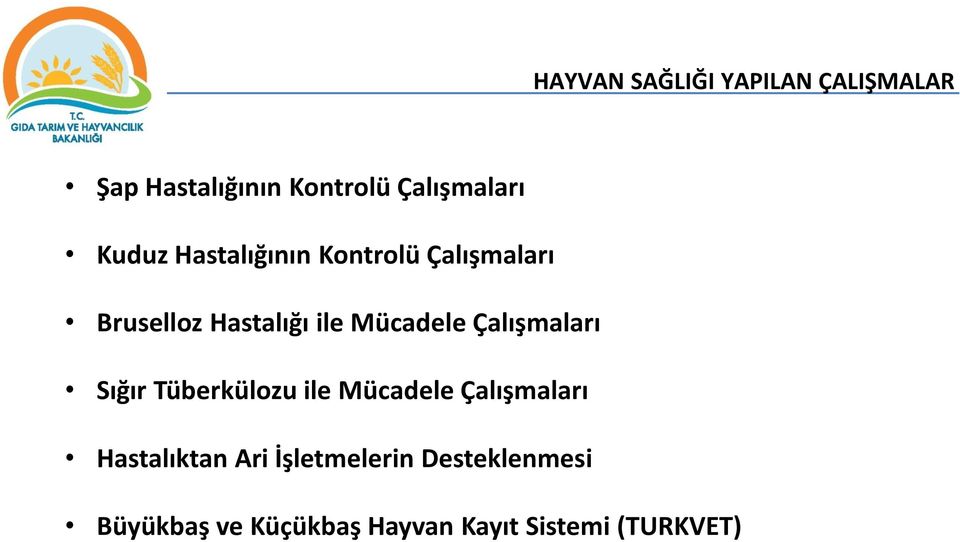 Çalışmaları Sığır Tüberkülozu ile Mücadele Çalışmaları Hastalıktan Ari