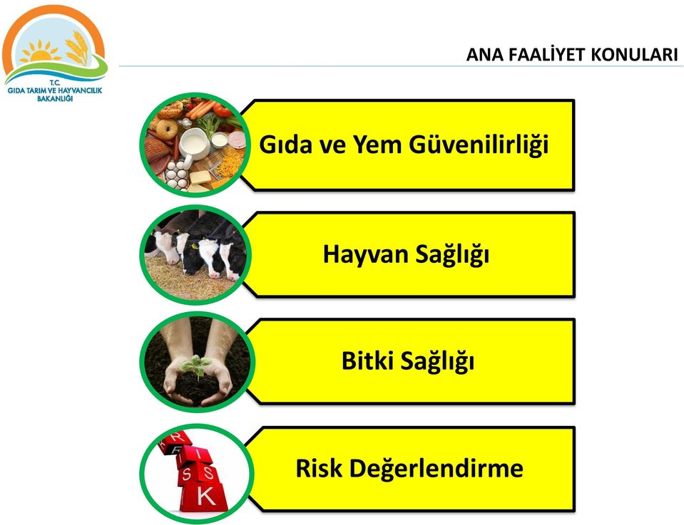 Güvenilirliği Hayvan