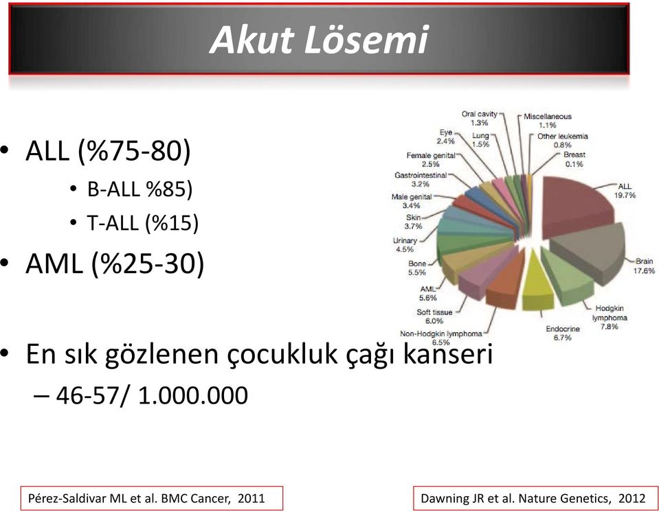 kanseri 46-57/ 1.000.000 Pérez-Saldivar ML et al.