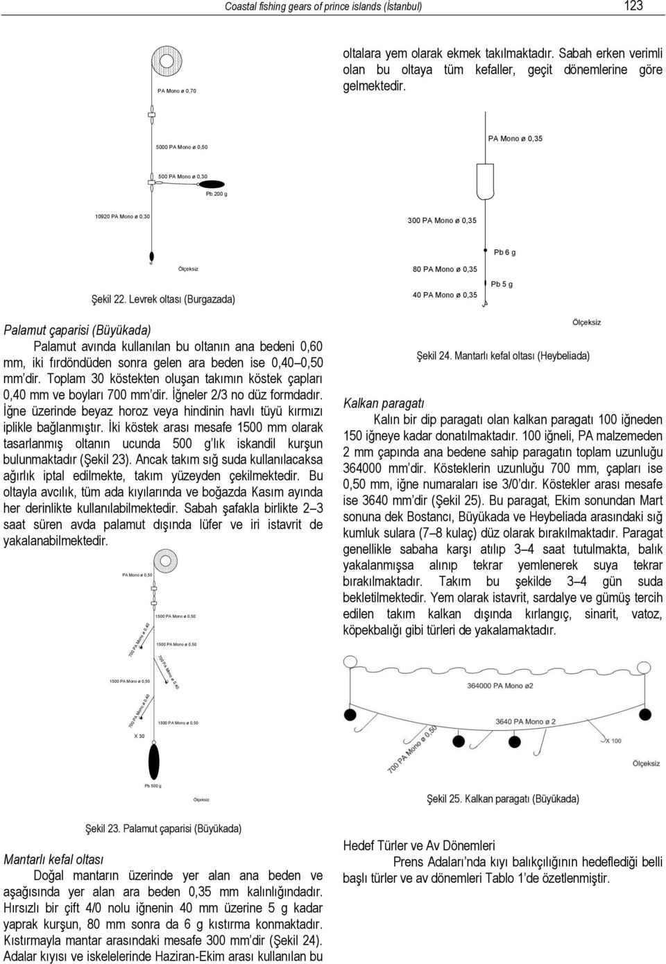 Levrek oltası (Burgazada) 80 Mono ø 0,3 40 Mono ø 0,3 Pb 6 g Pb g Palamut çaparisi (Büyükada) Palamut avında kullanılan bu oltanın ana bedeni 0,60 mm, iki fırdöndüden sonra gelen ara beden ise 0,40