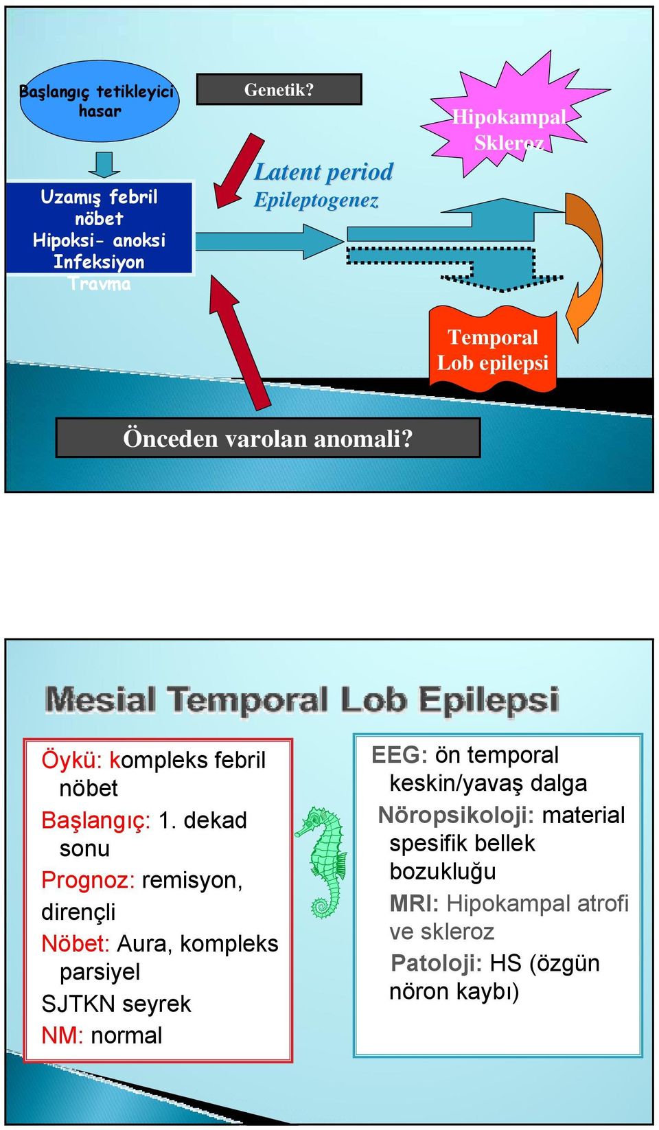 Öykü: kompleks febril nöbet Başlangıç: 1.