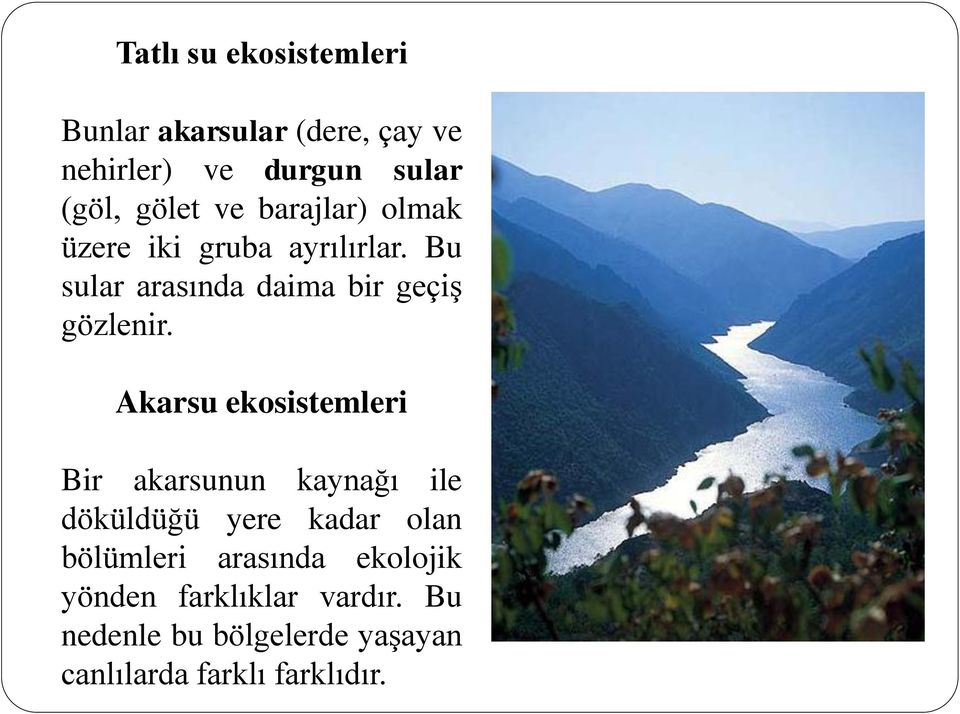 Akarsu ekosistemleri Bir akarsunun kaynağı ile döküldüğü yere kadar olan bölümleri arasında