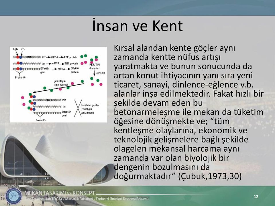 Fakat hızlı bir şekilde devam eden bu betonarmeleşme ile mekan da tüketim öğesine dönüşmekte ve; tüm kentleşme olaylarına,