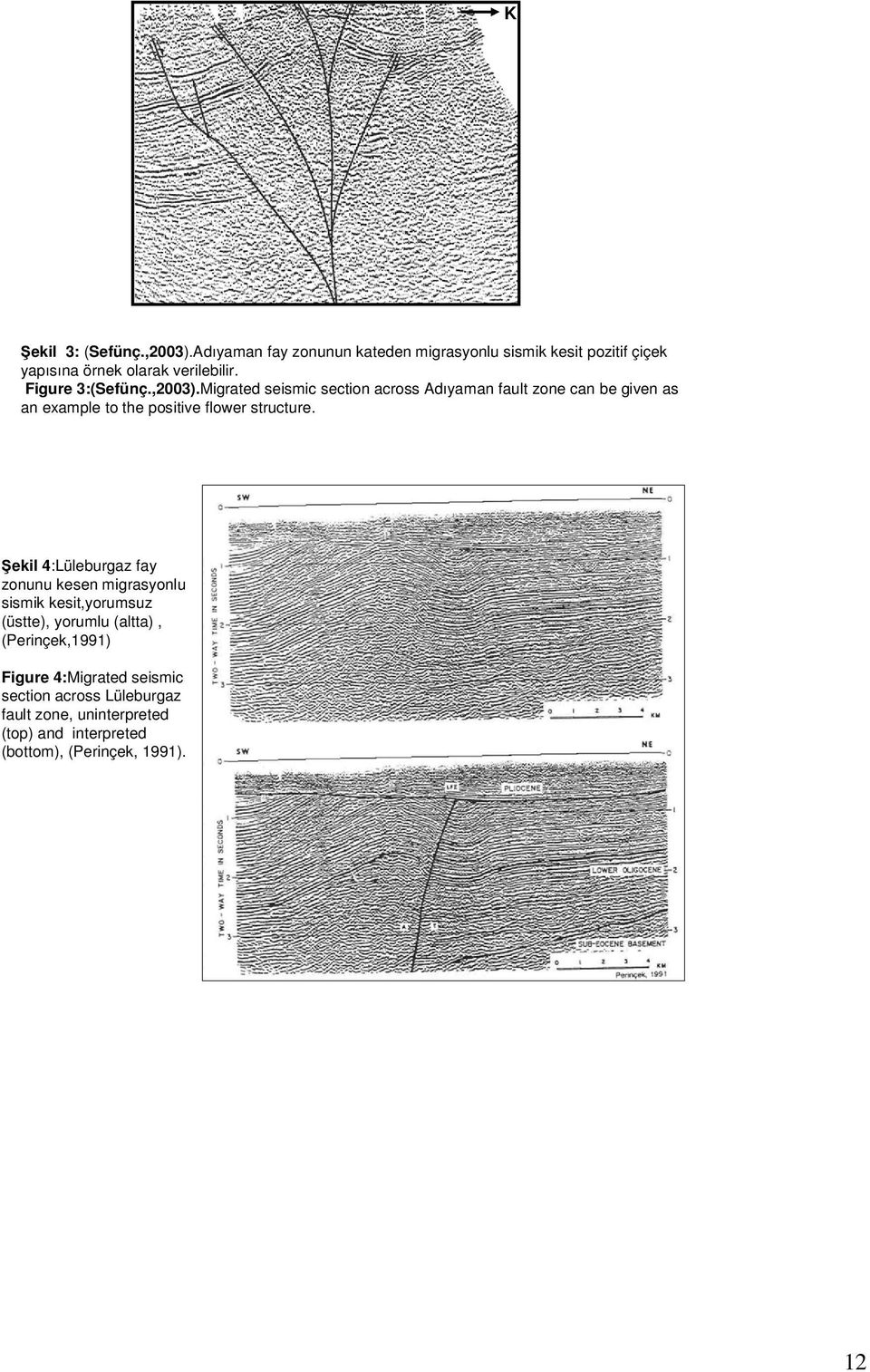 Migrated seismic section across Adıyaman fault zone can be given as an example to the positive flower structure.