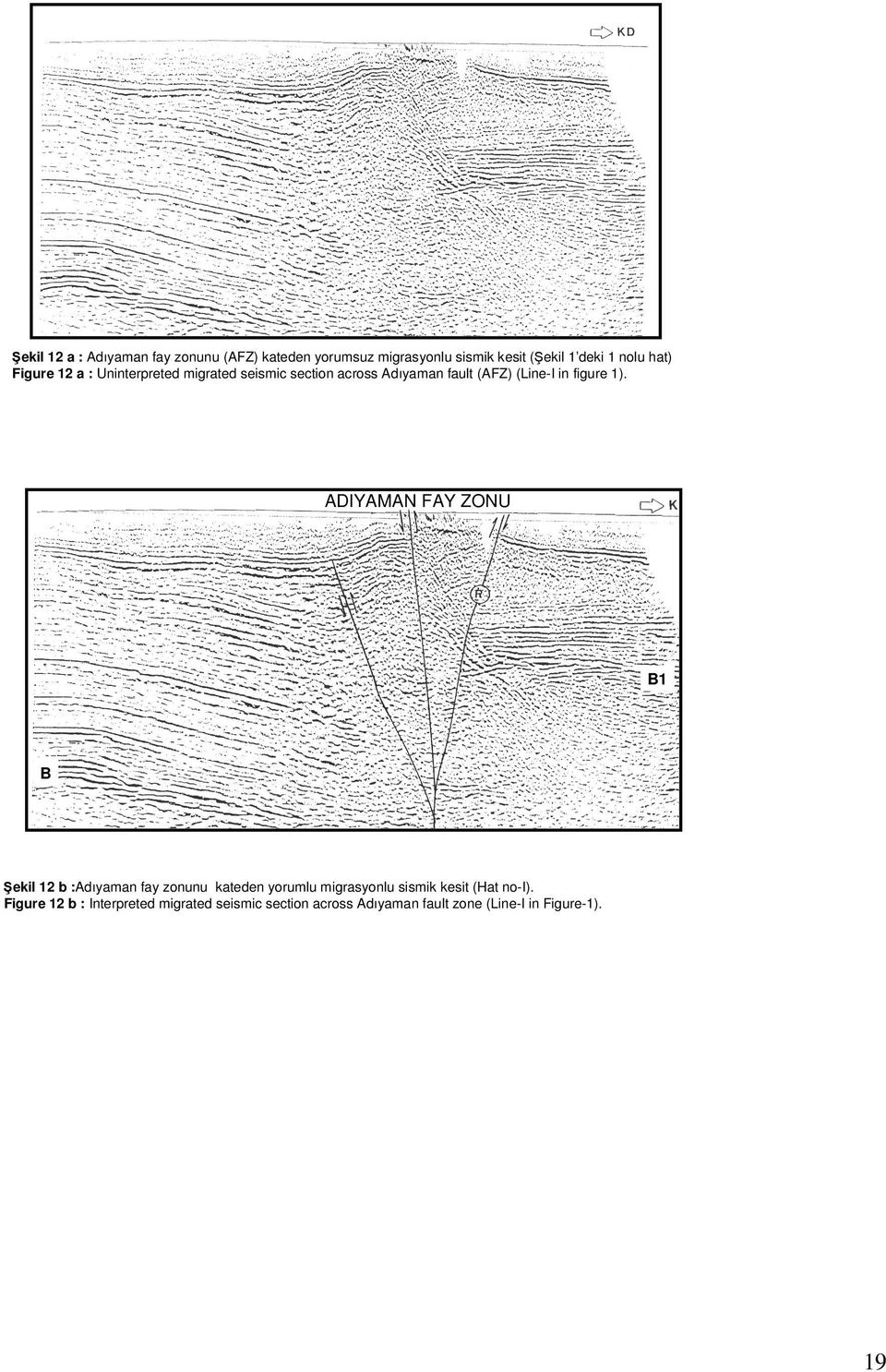 1). ADIYAMAN FAY ZONU B1 B Şekil 12 b :Adıyaman fay zonunu kateden yorumlu migrasyonlu sismik kesit (Hat