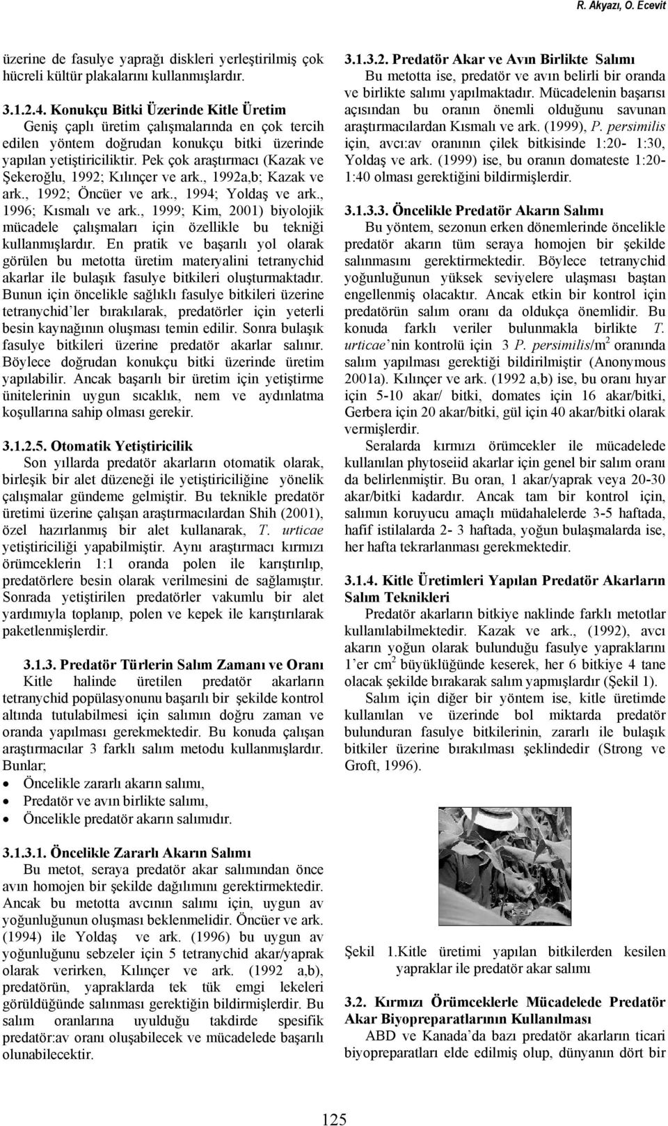 Pek çok araştırmacı (Kazak ve Şekeroğlu, 1992; Kılınçer ve ark., 1992a,b; Kazak ve ark., 1992; Öncüer ve ark., 1994; Yoldaş ve ark., 1996; Kısmalı ve ark.
