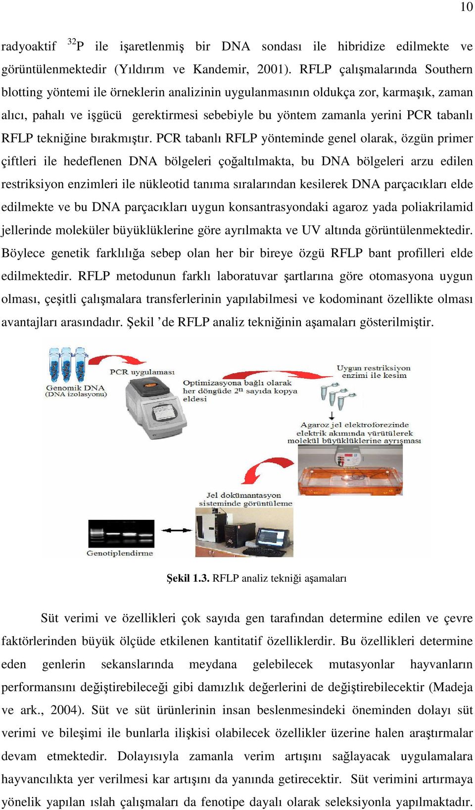 RFLP tekniğine bırakmıştır.