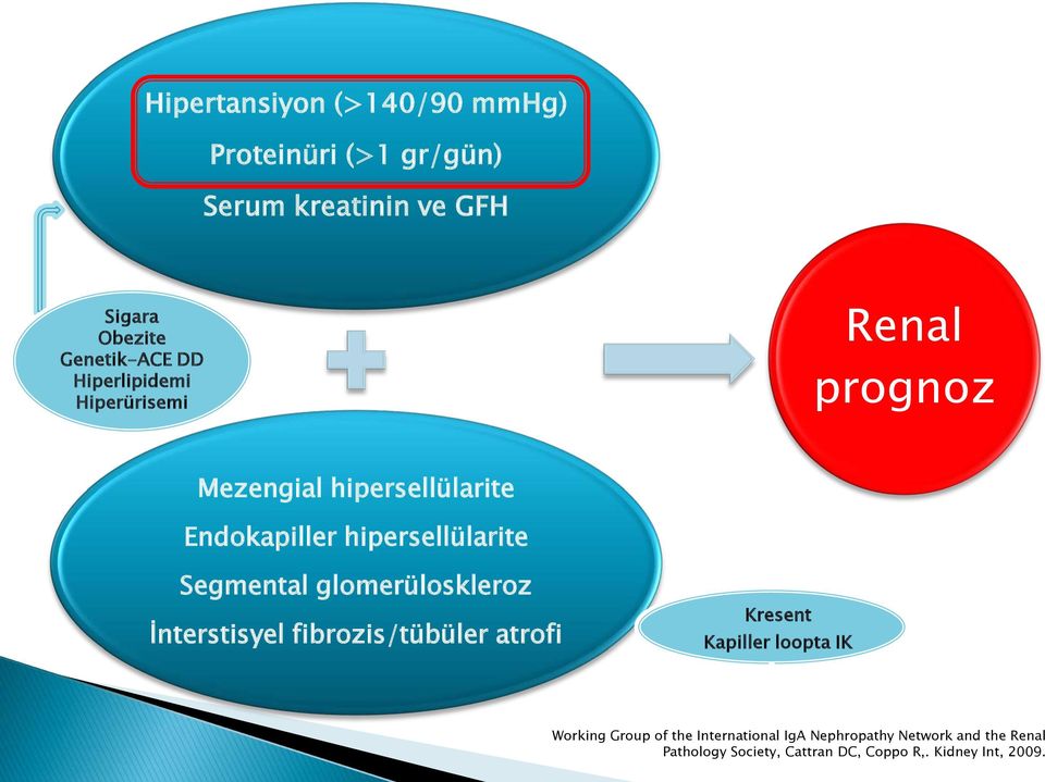 Segmental glomerüloskleroz İnterstisyel fibrozis/tübüler atrofi Kresent Kapiller loopta IK Working Group