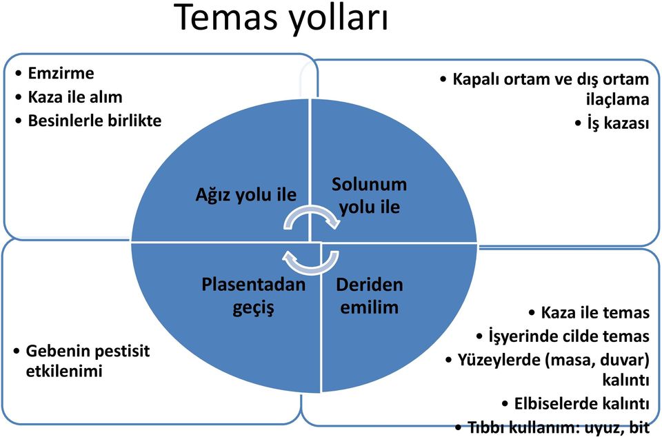 etkilenimi Plasentadan geçiş Deriden emilim Kaza ile temas İşyerinde cilde