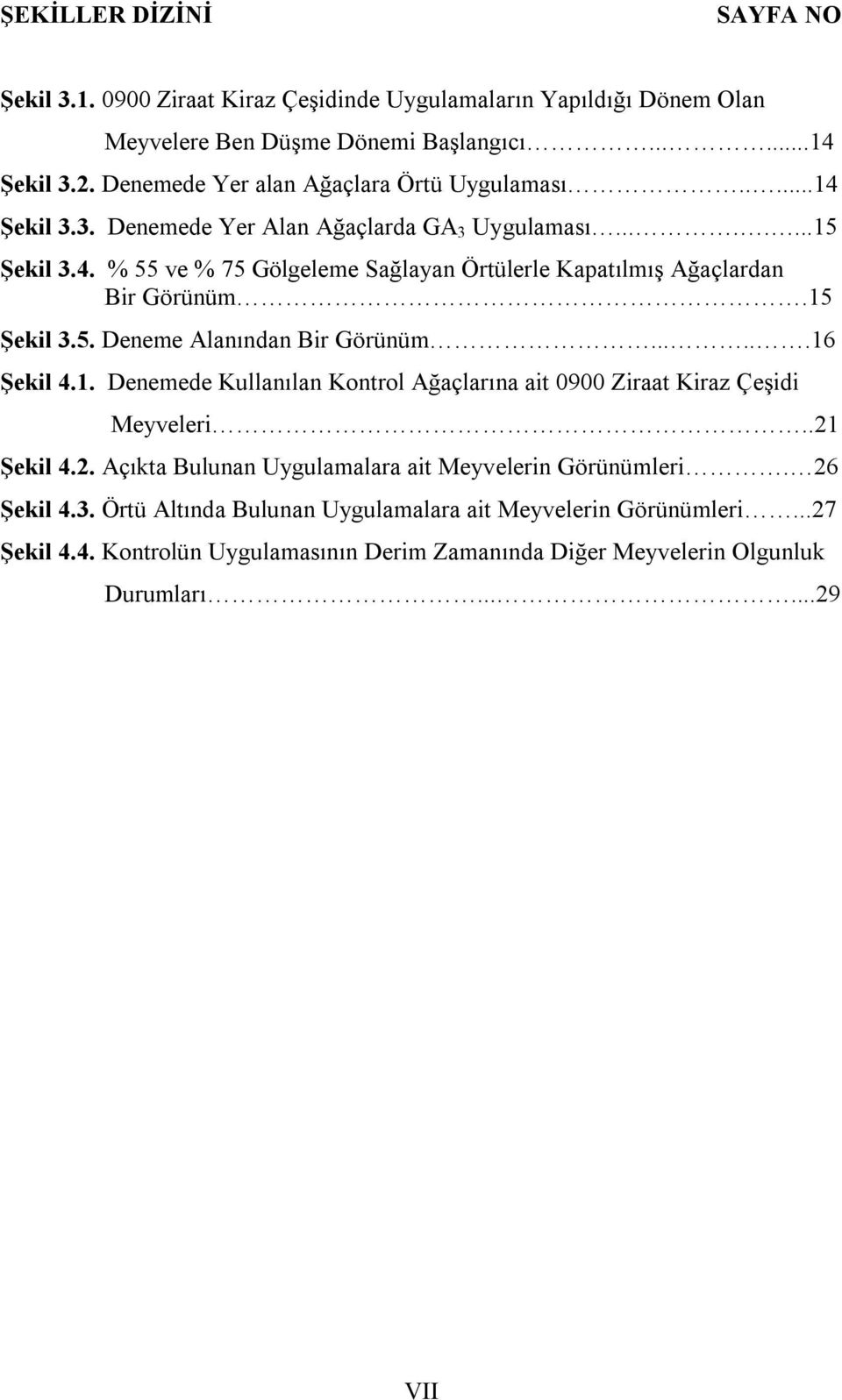 15 Şekil 3.5. Deneme Alanından Bir Görünüm......16 Şekil 4.1. Denemede Kullanılan Kontrol Ağaçlarına ait 0900 Ziraat Kiraz Çeşidi Meyveleri..21