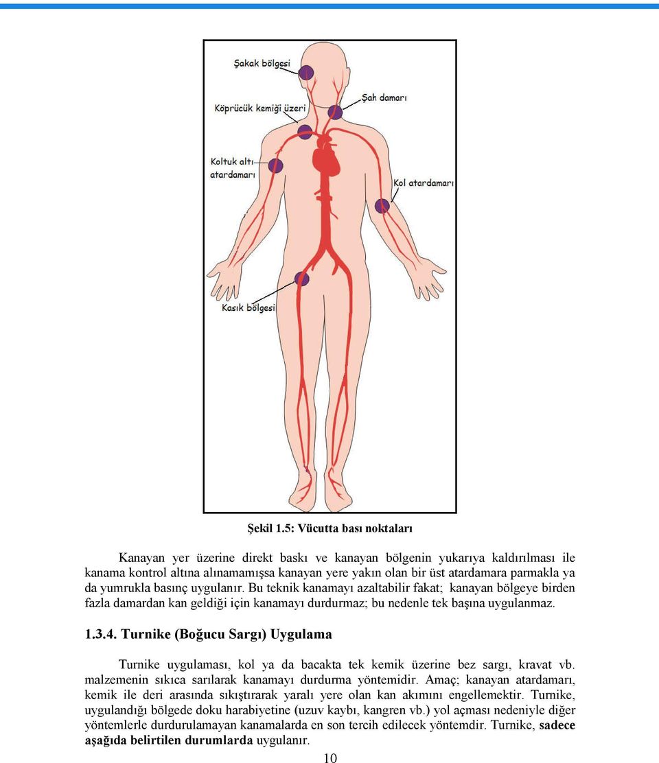 yumrukla basınç uygulanır. Bu teknik kanamayı azaltabilir fakat; kanayan bölgeye birden fazla damardan kan geldiği için kanamayı durdurmaz; bu nedenle tek başına uygulanmaz. 1.3.4.