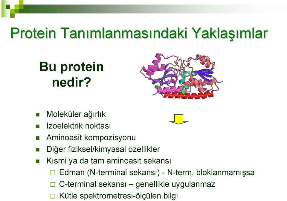 fiziksel/kimyasal özellikler Kısmi ya da tam aminoasit sekansı Edman (N-terminal