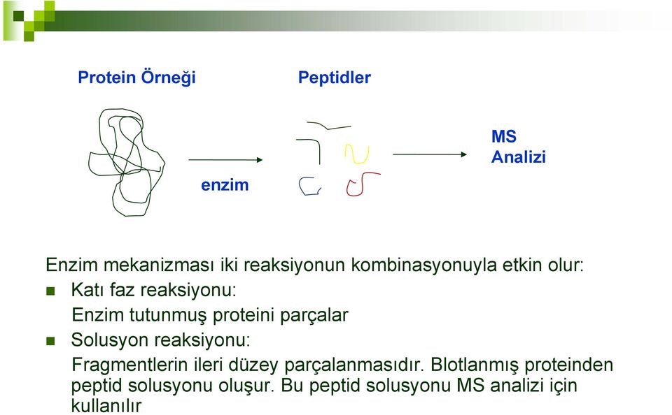 parçalar Solusyon reaksiyonu: Fragmentlerin ileri düzey parçalanmasıdır.