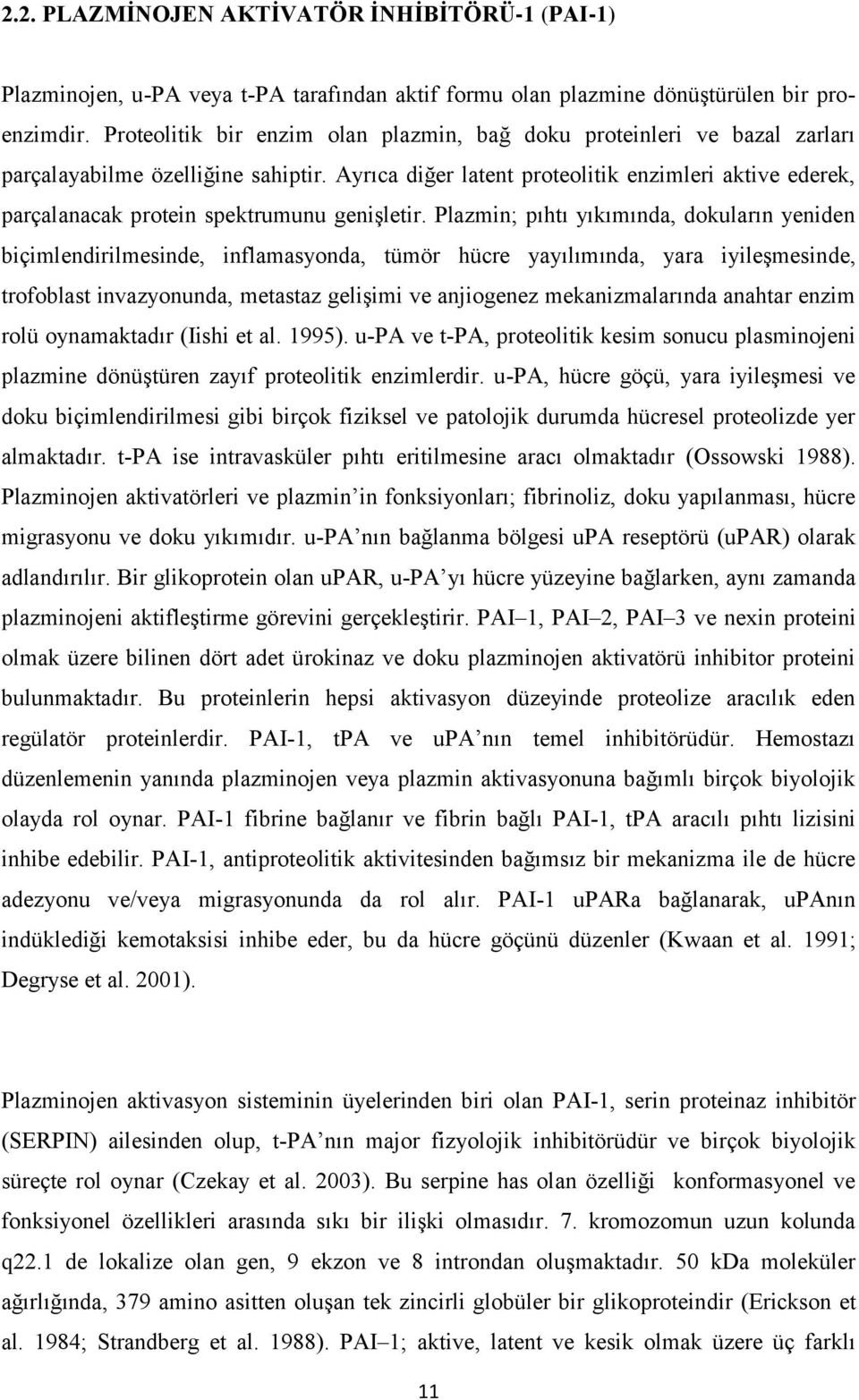 Ayrıca diğer latent proteolitik enzimleri aktive ederek, parçalanacak protein spektrumunu genişletir.