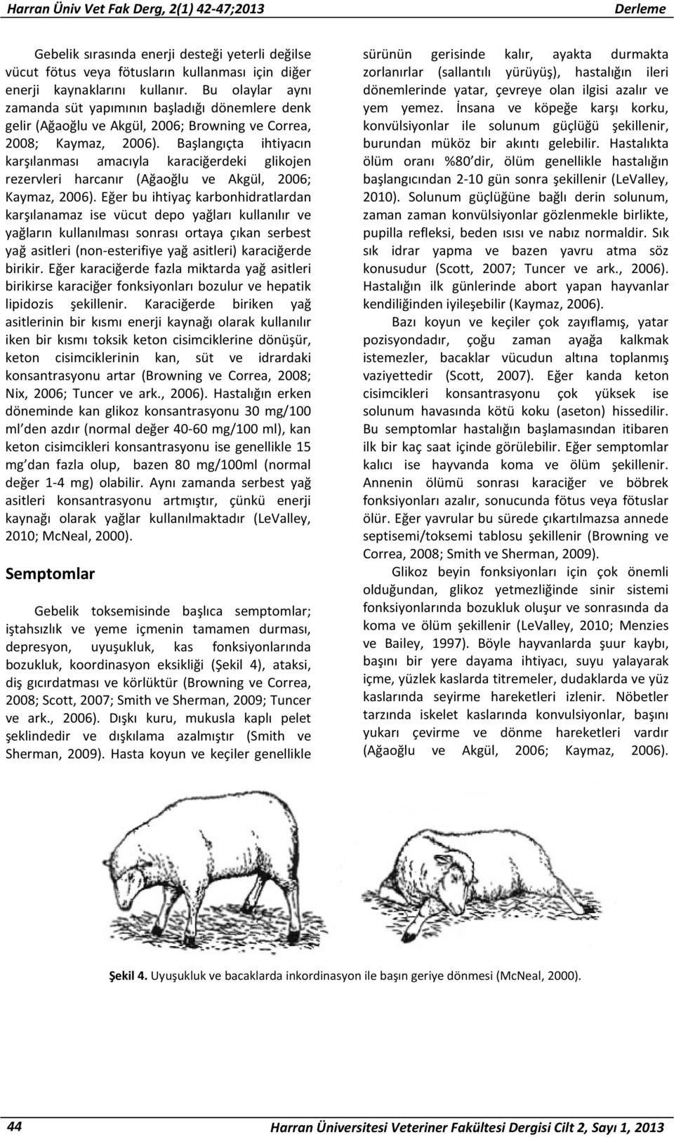 Başlangıçta ihtiyacın karşılanması amacıyla karaciğerdeki glikojen rezervleri harcanır (Ağaoğlu ve Akgül, 2006; Kaymaz, 2006).