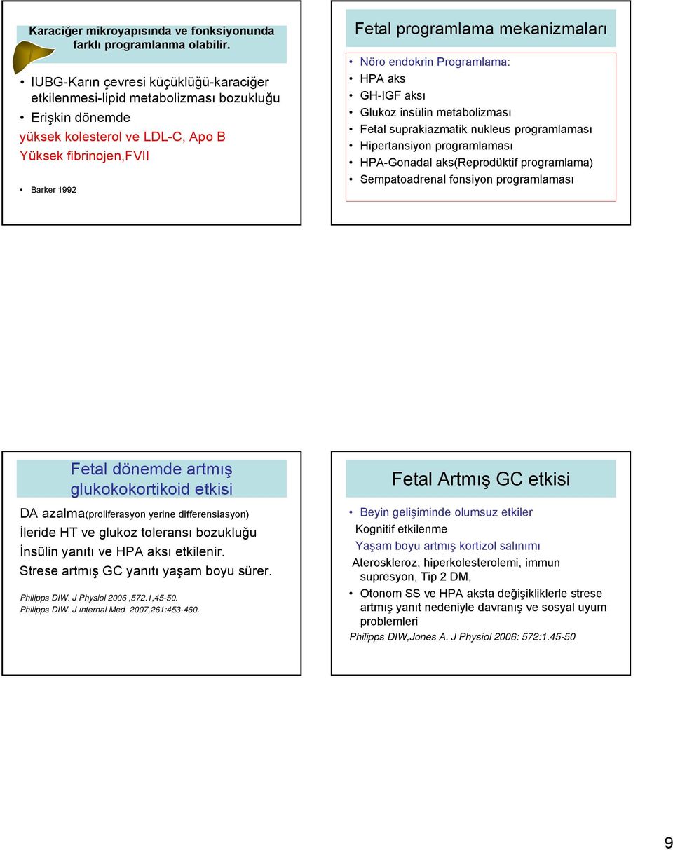 Nöro endokrin Programlama: HPA aks GH-IGF aksı Glukoz insülin metabolizması Fetal suprakiazmatik nukleus programlaması Hipertansiyon programlaması HPA-Gonadal aks(reprodüktif programlama)