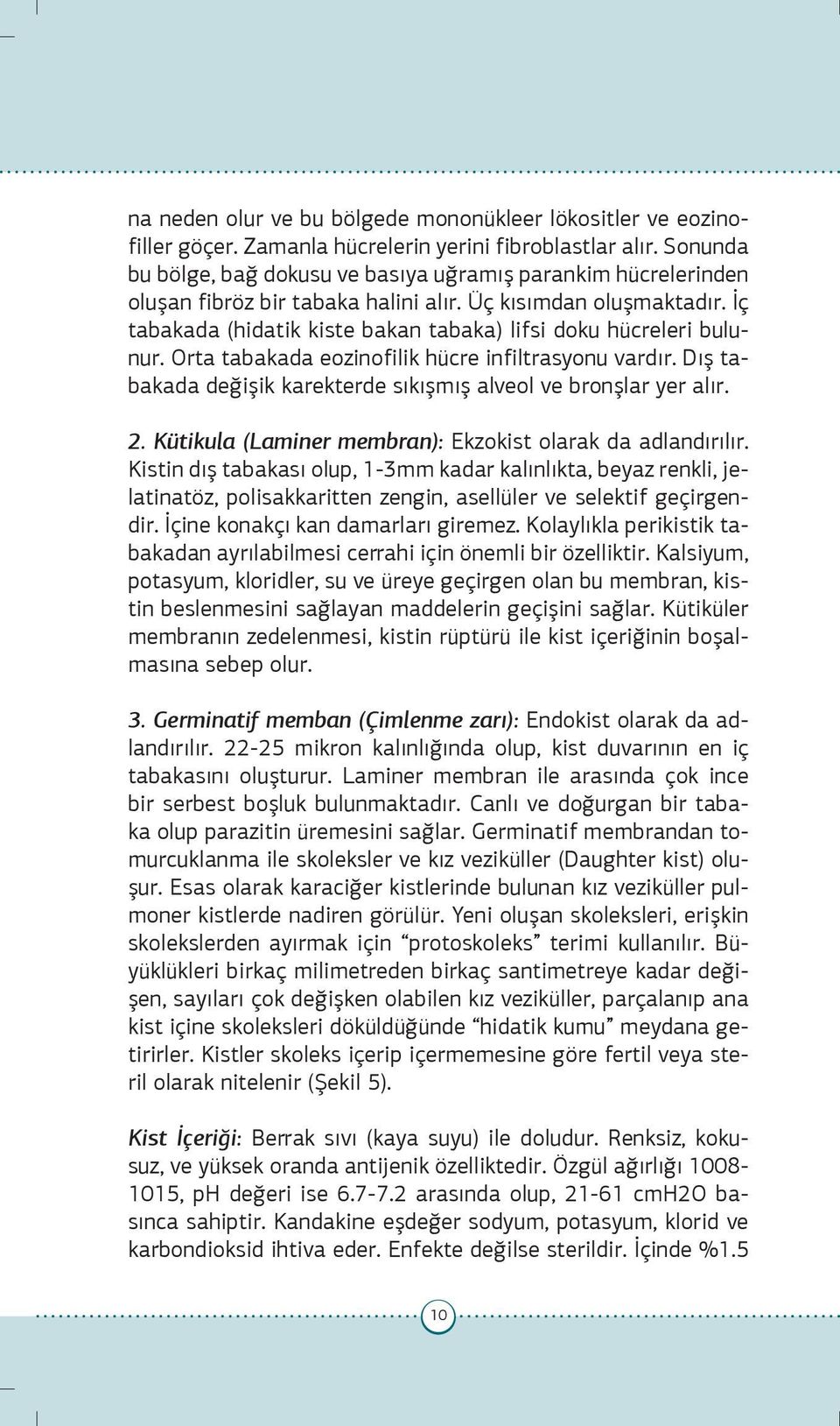 İç tabakada (hidatik kiste bakan tabaka) lifsi doku hücreleri bulunur. Orta tabakada eozinofilik hücre infiltrasyonu vardır. Dış tabakada değişik karekterde sıkışmış alveol ve bronşlar yer alır. 2.