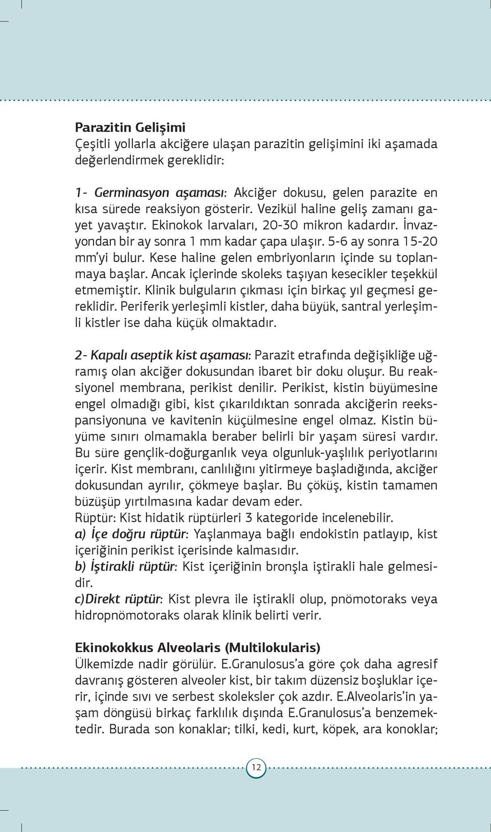 Kese haline gelen embriyonların içinde su toplanmaya başlar. Ancak içlerinde skoleks taşıyan kesecikler teşekkül etmemiştir. Klinik bulguların çıkması için birkaç yıl geçmesi gereklidir.