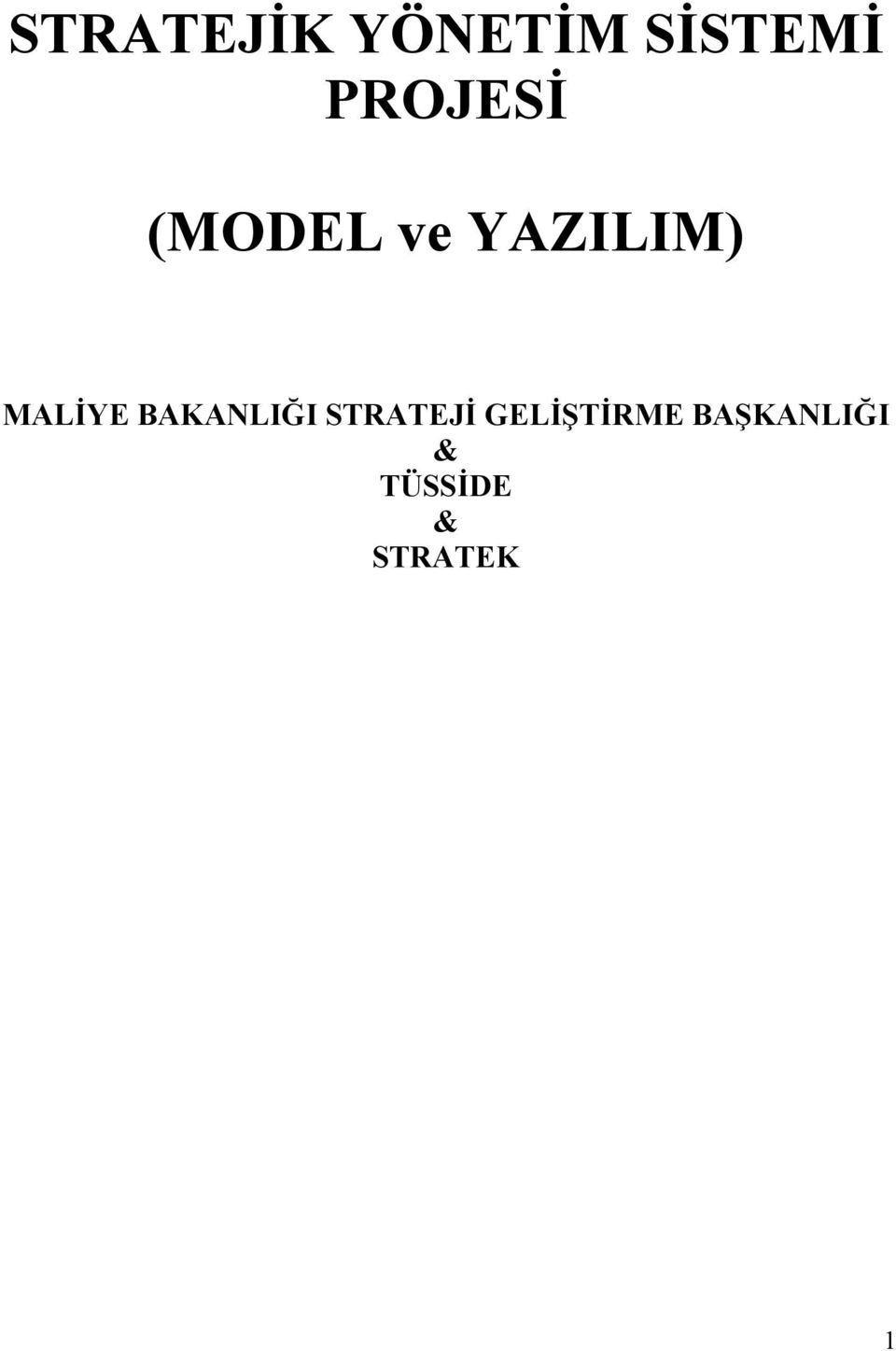 MALİYE BAKANLIĞI STRATEJİ