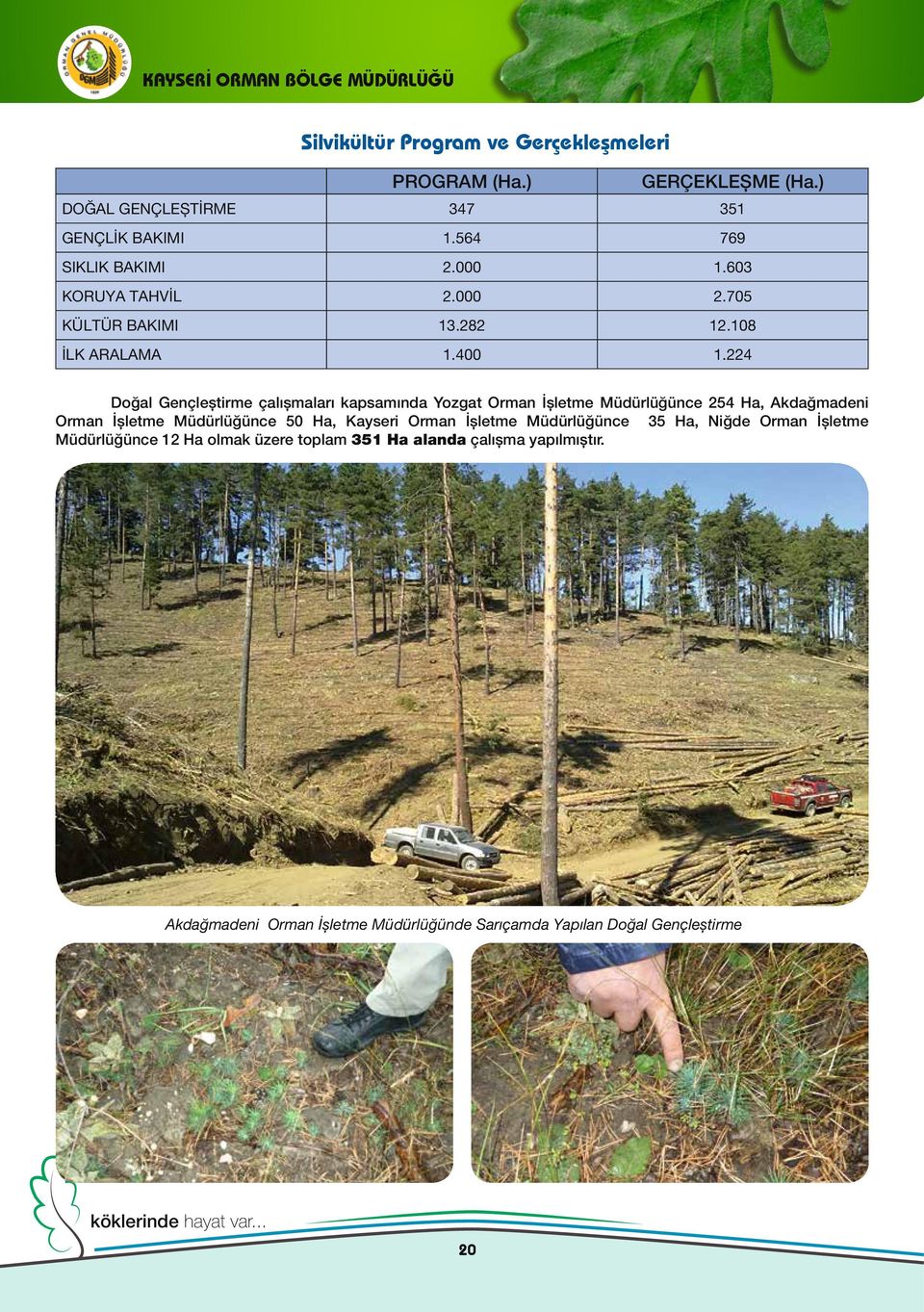 224 Doğal Gençleştirme çalışmaları kapsamında Yozgat Orman İşletme Müdürlüğünce 254 Ha, Akdağmadeni Orman İşletme Müdürlüğünce 50 Ha, Kayseri Orman
