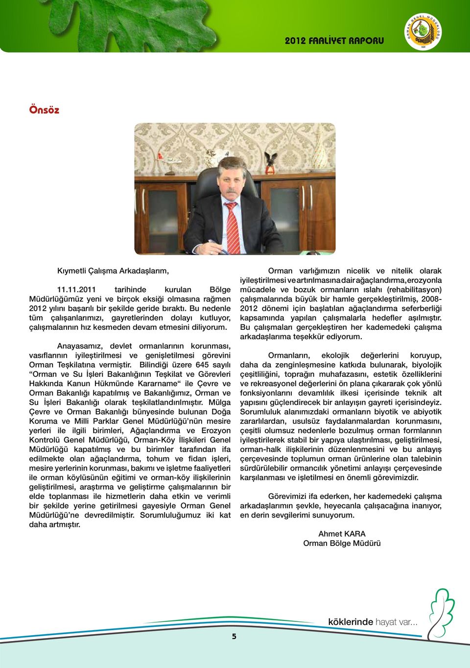 Anayasamız, devlet ormanlarının korunması, vasıflarının iyileştirilmesi ve genişletilmesi görevini Orman Teşkilatına vermiştir.